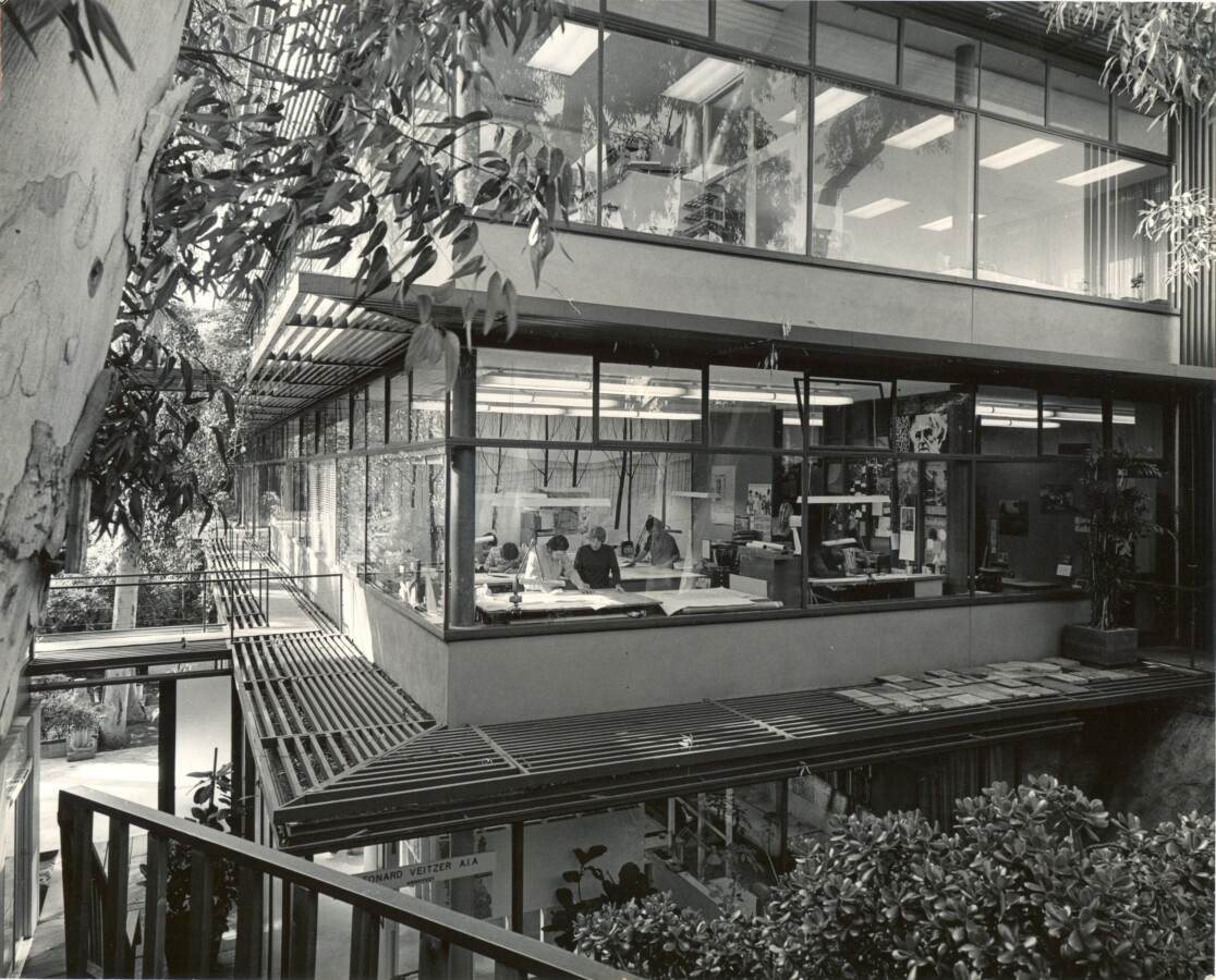 The Design Center — a modernist architecture building with large glass windows above a canyon