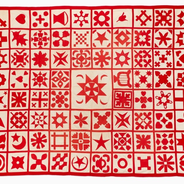 This American quilt's color scheme is red and white. All the squares have a red outline and design in the center and the background is white. Vertically there are eight squares and horizontally there are ten squares. In the center there is one large square (the size of four square combined). Each square has a different design.